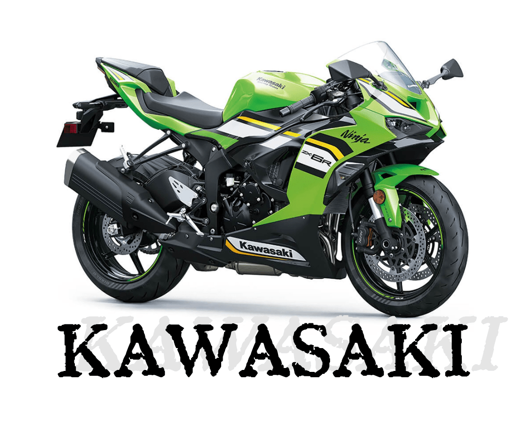 Kawasaki ABS Fairing Kit - Hemoto Firings